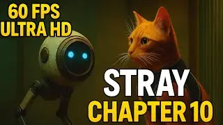 Stray Walkthrough Part 10 &ndash; Chapter 10 Puzzles & Progress [4k 60FPS HD]