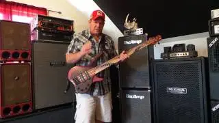Boutique MG Desert Custom 5 string bass demo - Andy Irvine