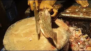 🔴 LIVE Fish Cutting Now | আজ এত বড় মাছ! 😱