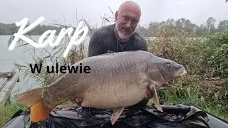 Le Ghiarine.  Karp w ulewie. #191