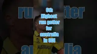 David Warner Retirement | Tribute to David warner the pushpa | GOAT #davidwarner