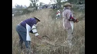 MACCHIAGODENA Molise - Rievocazione della Mietitura in montagna - film di Damiano Armenti