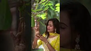 Eco-Friendly Coconut Shell Bird Feeder | Sustainable Garden Decor