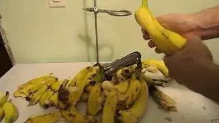 🍌BANANAPOCALYPSE🍌