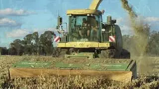 Cotton Stalk and Corn Stalk Harvesting Techniques with Krone BigX Queensland Test 17-05-2018