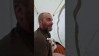 рой комаров