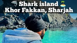 🦈 Shark Island, Khorfakkan, UAE
