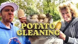 Сбор картофеля с Пэм! (Не воровство)