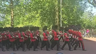No Where Else In London Can You See This