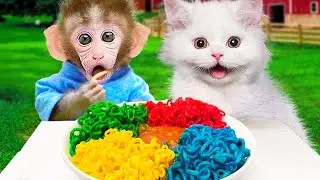 Симпатичная би Бон делает радужную лапшу для мими -кота и щенка |