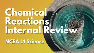 Reviewing The Chemical Reactions Internal | NCEA Level 1 Science 2021