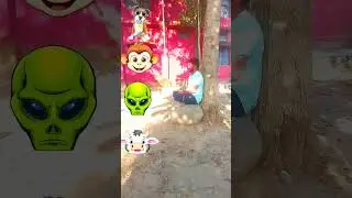 Head to Dog, Monkey, Alien, Cow - Funny dance magic vfx #shorts #viral #viralvideo #shortvideo