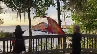 #21 JaxPort