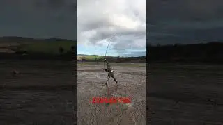 ZZIPLEX TRC