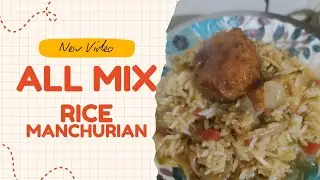 वेज ऑल मिक्स राइस एंड मंचूरियन 