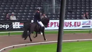 Korgur fr&aacute; Ing&oacute;lfshvoli, WC17V1