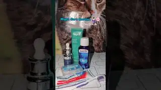 My Night Care Routine with Simple & Easy Steps💆&zwj;♀️🌸 #skincare #nightcareroutine #shorts #shortsviral