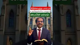சீறிய பாம்பும் உதறிய பவுலும் | Snake Bit Paul But Miracle Happened 🐍🔥 | Acts 28 Bible Shorts #shorts