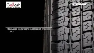 Купить всесезонные шины TIGAR Cargo Speed (в магазине шин и дисков 