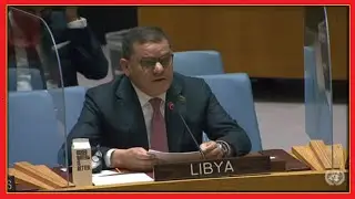 🇱🇾 Head of Libya&rsquo;s unity gov't talk to UN Security Council