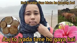 Jyada thand ki vajah se Hui halat kharab 🌫️