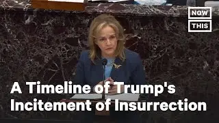 Madeleine Dean Gives Timeline of Trump's Incitement of Insurrection
