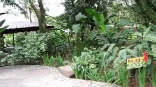 Коста Рика, отель в Тортугеро Hotel Laguna lodge
