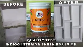 indigo interior sheen emulsion quality test review | price,coverage and whiteness |colorvlog-17