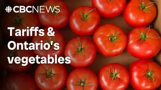 What U.S. tariffs would mean for Ontario&rsquo;s massive vegetable export industry