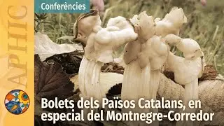 Confer&egrave;ncia 