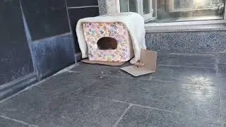 Наши Друзья Не Пришли В Такой Мороз / Our Friends Didn’t Come In This Frost 🔥