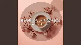 Purposeful Pause Interlude