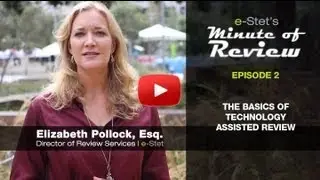 e-Stet's Minute of Review - The Basics of Technology Assisted Review