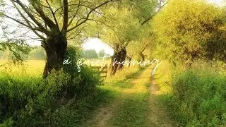 a relaxing playlist for a quiet writing