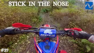 Stick In The Nose #37 - Jordan Creek OHV |Tillamook State Forest