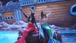 Mermaid Show @ Aquarium Paradise Banglore 