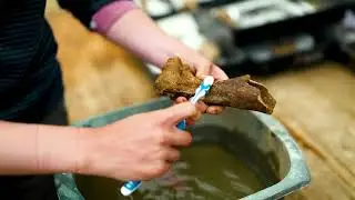 Undergraduate Archaeology at the University of Exeter