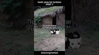 PART 7 #memekucing #kucingmeme #sad #sadending #catmemes #catvideos #sedih #ibu #memes #meme #fypシ