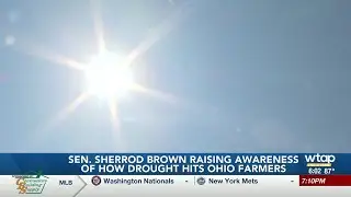 Sen. Sherrod Brown raises awareness about impact of drought on Ohio farmers