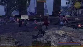 Raiderz MAX vs LOW Settings Graphics Comparison