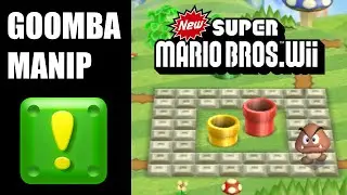 Goomba Manip Explained - New Super Mario Bros Wii Speedrunning