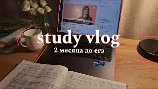 130. study vlog | готовлюсь к егэ в 11 классе | 40 дней до егэ на 300 баллов