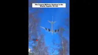 The Largest Military Airplane in the World Tupolev Tu-142 #shorts