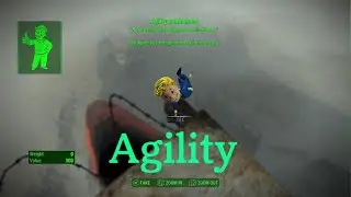 Basic Marc: Fallout 4 Agility Bobblehead