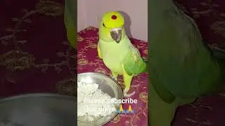 new video 🥰 please channel ko subscribe karo Mr Kirti Singh 8115 #viralvideos pair video #youtube
