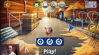 Pig Simulator, Run & Crash - First time playing