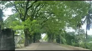views of majuli road { world largest river island}