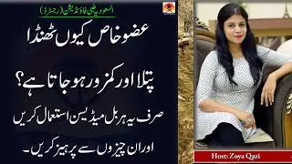 Health Tips By Dr Zoya Qazi Healthy Lifestyle By Dr Dania Khan