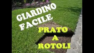 PRATO A ROTOLI