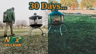 N-Ext&trade; Soil Activator Pack Overview & Results // N-Ext&trade; DIY Lawn Care Tips